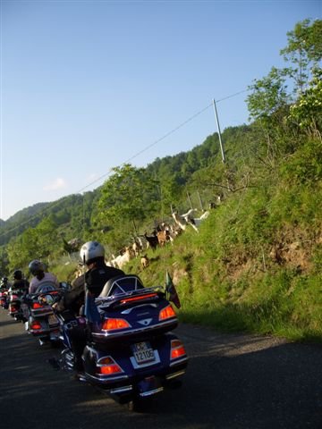 stp80585.jpg