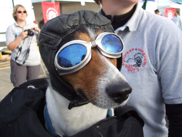 dscf1583.jpg