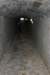 radunoinvenetoorganizzazioneandreaeraffaellabyaugusto47_small.jpg