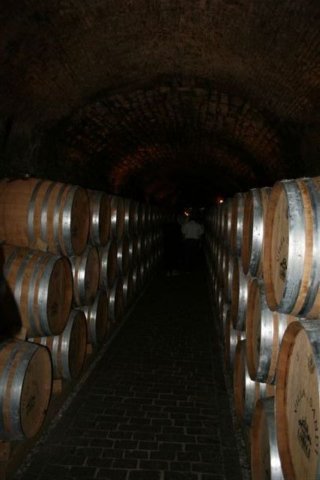 radunoinvenetoorganizzazioneandreaeraffaellabyaugusto6.jpg