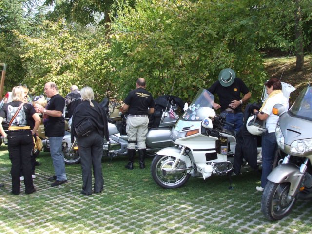 domenica1ptfestival20.jpg
