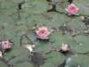 tourdellamagnagreciasalento16_small.jpg