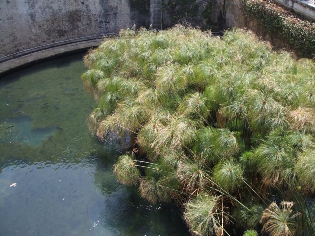 tourdellamagnagreciasicilia38.jpg