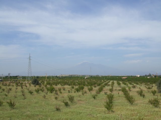 tourdellamagnagreciasicilia41.jpg