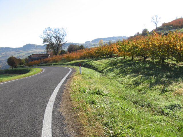 motoincontroepranzoallegalliebyute15.jpg