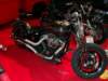 bikeexpopadova14_small.jpg