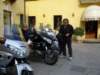lupiaimonti20_small.jpg