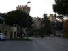 lupiaimonti49_small.jpg