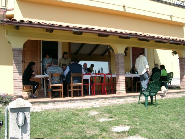 domenicafrawingersbandiereeamici15.jpg