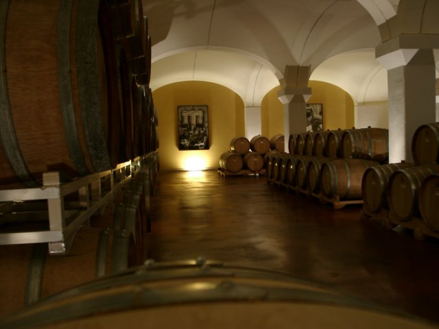 hpaccantinazaccagnini9.jpg