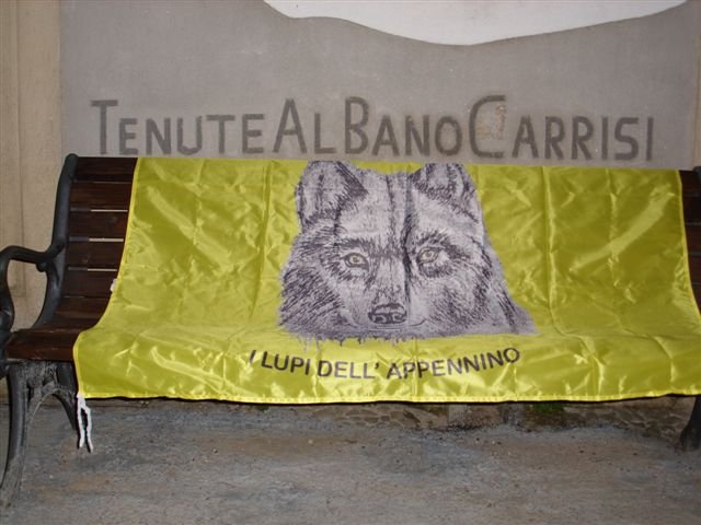 motopaseggiatadelsalento104.jpg