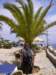 motopaseggiatadelsalento37_small.jpg