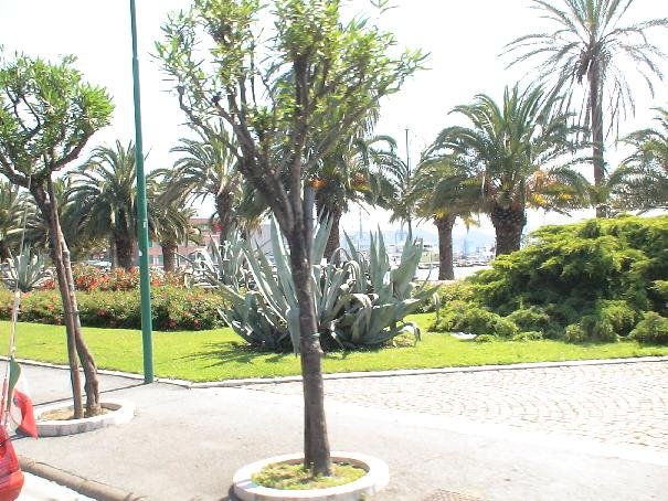 sdsc00667.jpg