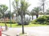 sdsc00667_small.jpg