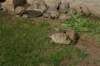 img_0883_small.jpg