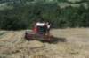 sanpellegrinoinalpe24_small.jpg