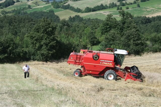 sanpellegrinoinalpe25.jpg