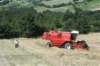 sanpellegrinoinalpe25_small.jpg