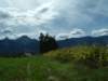 faakersee53_small.jpg