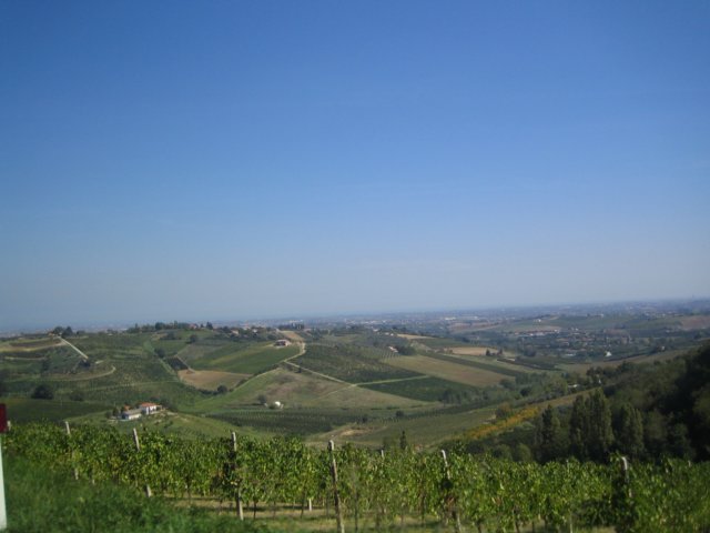 sabato1ptfestival22.jpg