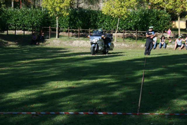 sabato1ptfestival100.jpg