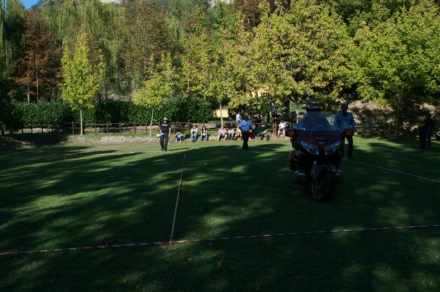 sabato1ptfestival96.jpg