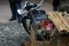 motobefanadicorreggio30_small.jpg