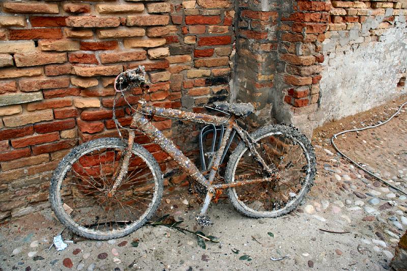 Bicicletta.jpg