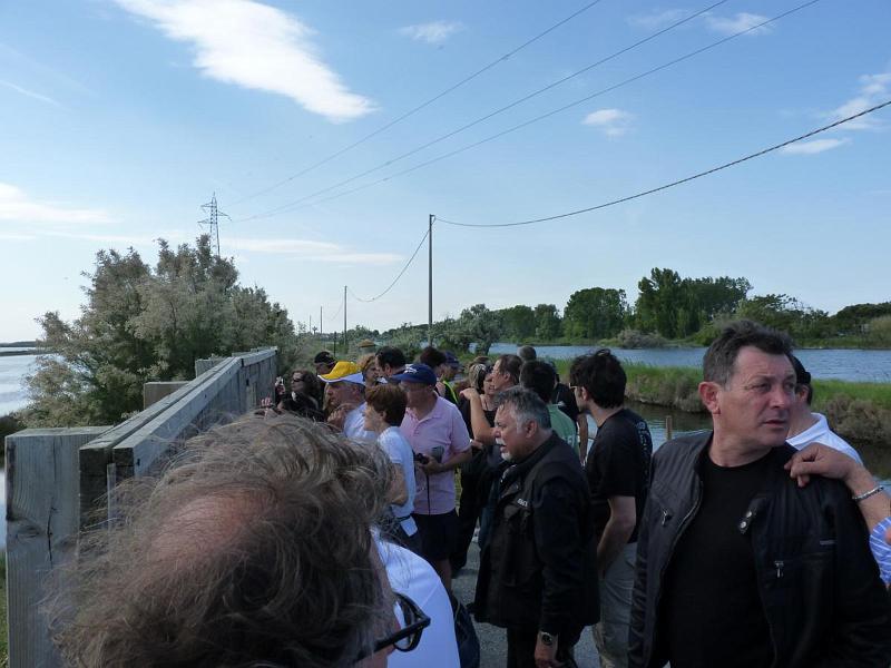 12.jpg - Osservazione dei volatili alle saline.